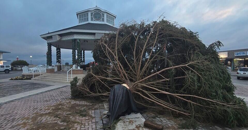High Winds Topple Rehoboth Beach Christmas Tree